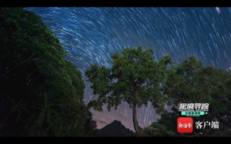 欢乐打砖块2选关版